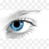人眼桌面壁纸眼睛跟踪视觉感知.眼睛