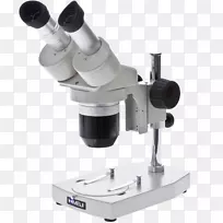 光立体显微镜，光学显微镜，电子显微镜