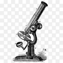 显微镜绘图复古式剪贴画艺术显微镜