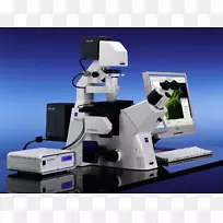 倒置显微镜荧光显微镜卡尔蔡司银细胞培养显微镜