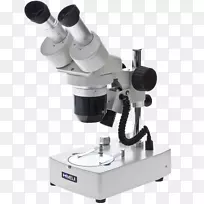 立体显微镜放大镜