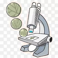 生物桌面壁纸夹艺术显微镜