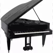 数字钢琴萨米克舞台钢琴乐器.钢琴