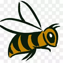 蜜蜂象征蜜蜂叮咬大黄蜂-蜜蜂