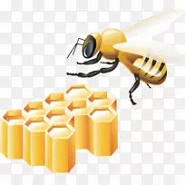 蜜蜂封装后记剪贴画-蜜蜂