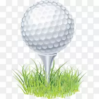 高尔夫球、高尔夫球杆、剪贴画.高尔夫球台