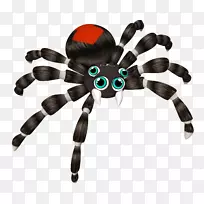 法莫拉马蜘蛛狼蛛大点小游戏动物蜘蛛