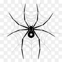 蜘蛛网窗帘剪贴画-蜘蛛