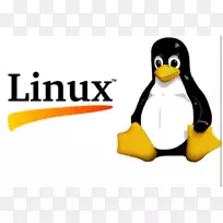 linux从头开始培训lxc操作系统-linux