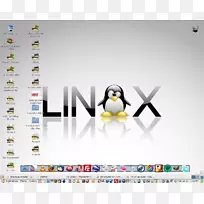 linux精通：最终的linux操作系统和命令行掌握操作系统linux发行版debian-linux