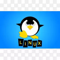 linux发行操作系统安装计算机软件linux