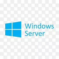 微软天蓝色云计算数据中心平台作为一种服务-windows标识