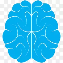 神经反馈在发育性创伤治疗中的应用：镇定恐惧驱动的大脑研究-大脑