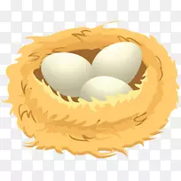鸟蛋夹艺术-蛋