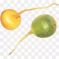 萝卜、白萝卜、菜、芹菜