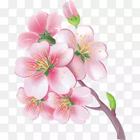 t恤钩针花针图案-桃花