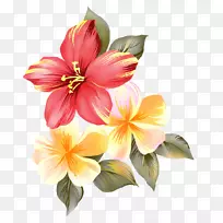 花卉光栅图形剪辑艺术-花卉