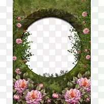 玫瑰花园玫瑰-相框