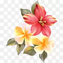 晚上好的爱情玫瑰浪漫-花儿