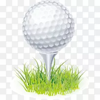 高尔夫球、高尔夫球杆、剪贴画-高尔夫