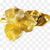 花滩玫瑰剪贴画-黄玫瑰