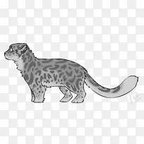雪豹猫科美洲豹