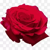 香石竹玫瑰花夹艺术-红色