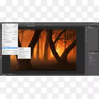 桌面壁纸显示分辨率高清晰度视频森林.Photoshop
