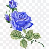 花园玫瑰花蓝花