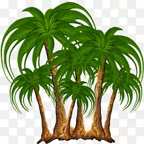 自然剪贴画-棕榈树