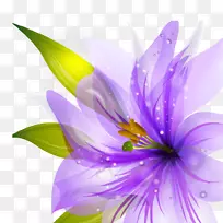 边框花紫色桌面壁纸-蓝色花