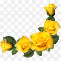 画框黄玫瑰插花艺术.黄玫瑰
