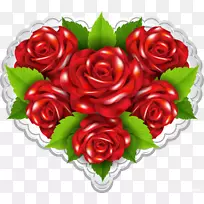 金丝雀玫瑰无花：匹配和比较益智花园Android蓝色玫瑰-三月
