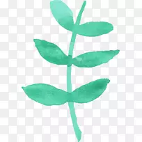 叶水彩画植物茎-水彩叶