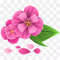 粉色花朵花瓣剪贴画-花瓣