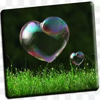 肥皂泡心脏Mac应用商店-泡沫