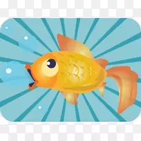 鲤鱼-金鱼
