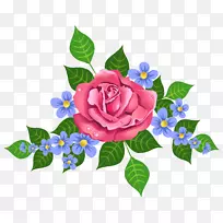 玫瑰插花艺术-海葵