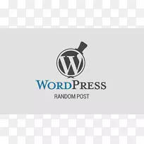 Web开发WordPress博客搜索引擎优化-WordPress