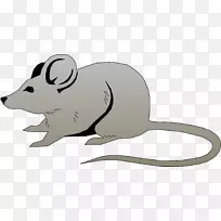 鼠标电脑鼠标剪贴画鼠标