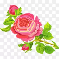 静物：粉红玫瑰剪贴画手绘