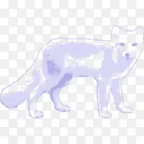 北极狐北极狼红狐夹艺术北极狐