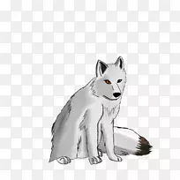 北极狐灰狼画北极狐
