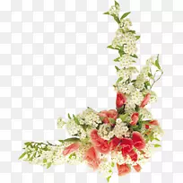 边境花卉平面设计花卉设计-玛丽