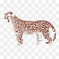 猫科长颈鹿，豹，狮子，美洲豹-猎豹