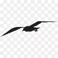 海鸥剪影鸟夹艺术海鸥