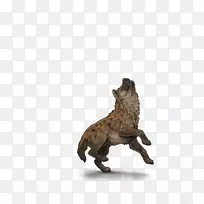 狮子斑鬣狗