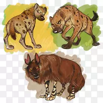 猫科鬣狗，狮子，狗，-鬣狗
