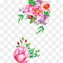 切花花卉设计花园玫瑰-水彩花