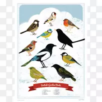 英国花园鸟海报鸟喂食者-海报
